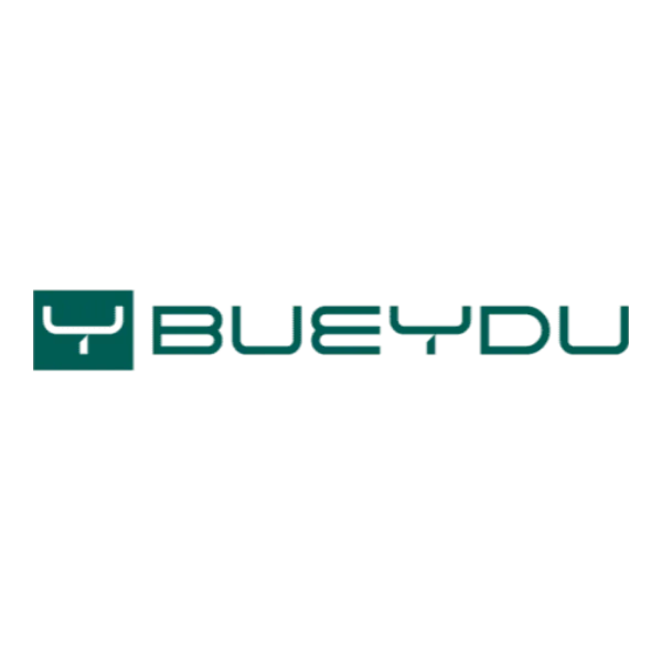 Bueydu